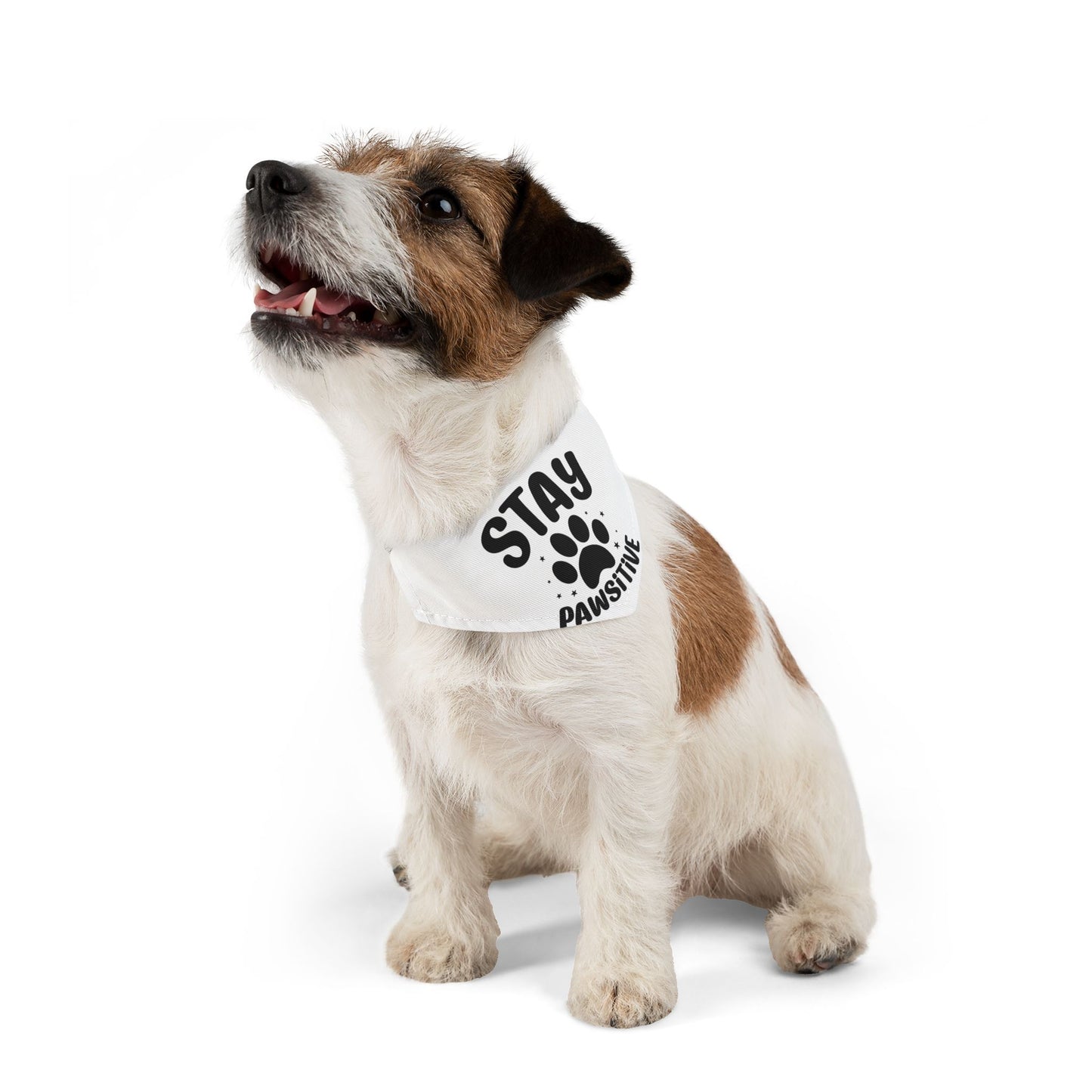 Stay Pawsitive Pet Bandana Collar — White Dog Bandana with Paw Print