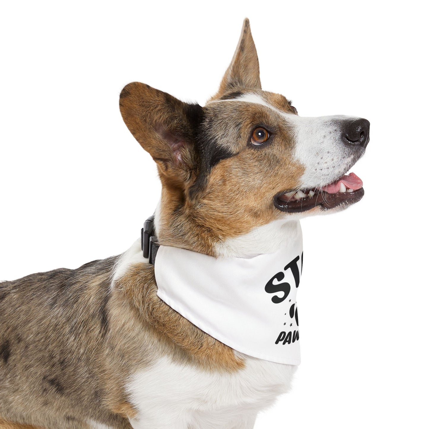 Stay Pawsitive Pet Bandana Collar — White Dog Bandana with Paw Print